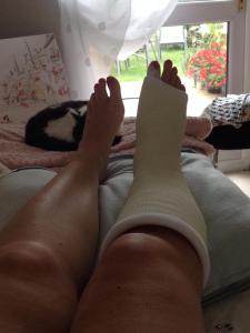 10404190_10152626137337733_6308072091573576827_n