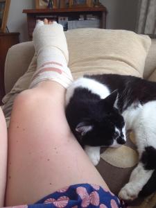 10550813_10152637773012733_2822851698225674974_n