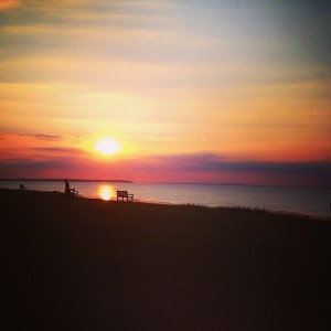 10577133_10152614315207733_3099183660504245693_n