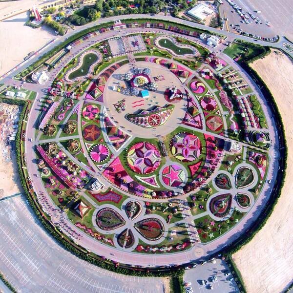 Dubai Miracle Garden. Image found on icosnap.com