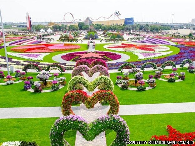 Dubai Miracle Garden - Image found on travel.cnn.com