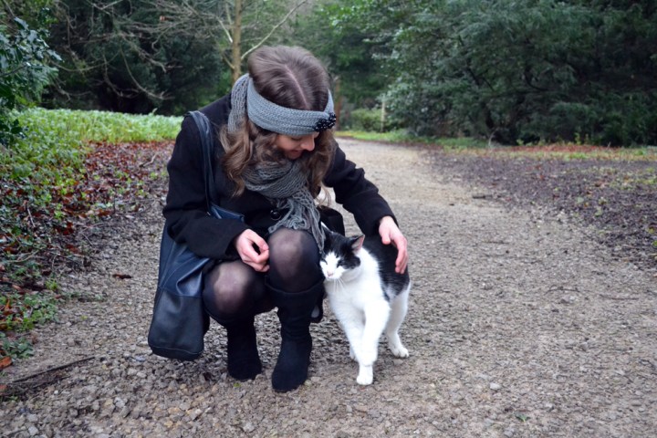 CrunchCornerNewYear (1).jpg