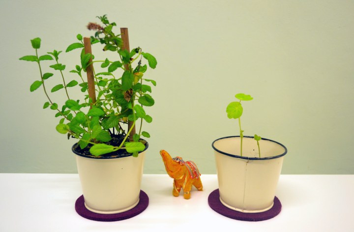 CrunchCornerNewYear (3).JPG