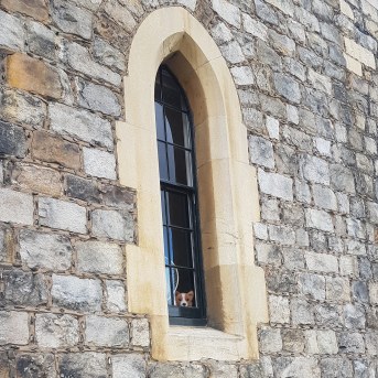 IMG_20190319_184423_154